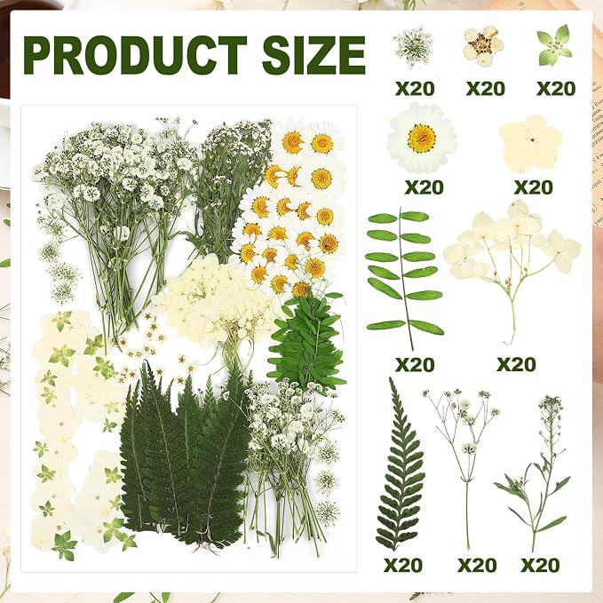 Fabbay 200 Pcs Dried Pressed Flowers Real Dry Natural Flower Leaf Dried Flowers - Image 3