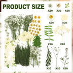 Fabbay 200 Pcs Dried Pressed Flowers Real Dry Natural Flower Leaf Dried Flowers - Image 3