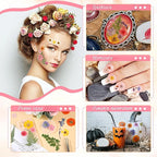 eBoot 72 Pcs Dried Pressed Flowers - Image 4
