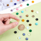 SUPERFINDINGS 40pcs 10mm Half Round Natural Cabochon 20 Color Flat Back - Image 3