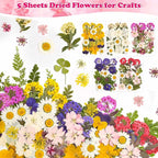100 Pcs Dried Pressed Flowers Leaves - Image 3