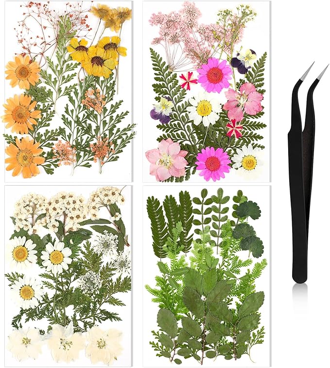Nuanchu Dried Pressed Flowers for Craft Resin Real Flat Dried Flowers Leaves by Nuanchu