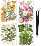 Nuanchu Dried Pressed Flowers for Craft Resin Real Flat Dried Flowers Leaves by Nuanchu