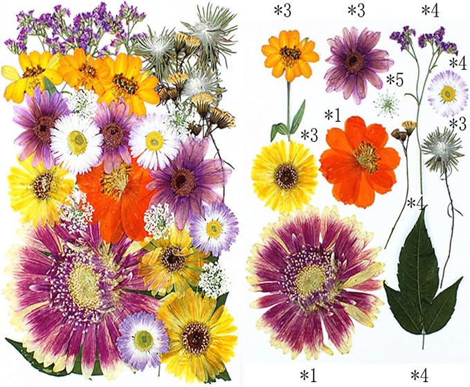 35Pcs Dried Pressed Flowers for Crafts Resin DIY Art Natural Dry Floral Large - Image 2