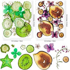 70PCS+ Nature Dried Pressed Fruits Flowers - Image 3