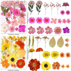 221PCS Real Nature Dried Pressed Flowers - Image 4