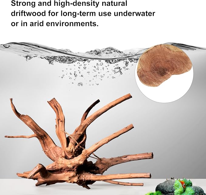majoywoo Natural Driftwood for Aquarium Decor Fish Tank Decorations, Reptile - Image 3