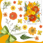 35Pcs Yellow Pressed Dried Flowers - Image 5