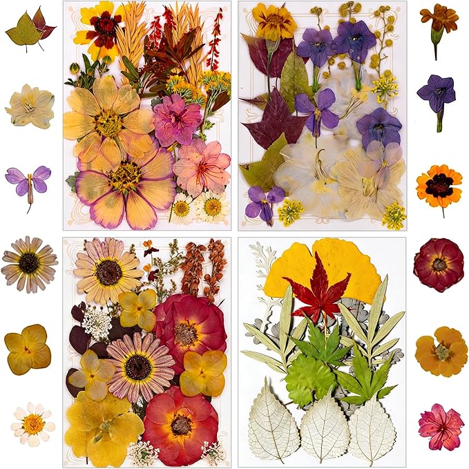 163 pcs Dried Flowers for Resin, Natural Flowers and Leaves Kit by Unknown