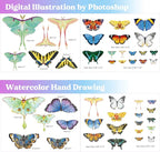LET'S RESIN Realistic Paper Butterfly Moth, Epoxy Resin Supplies, Vintage - Image 2