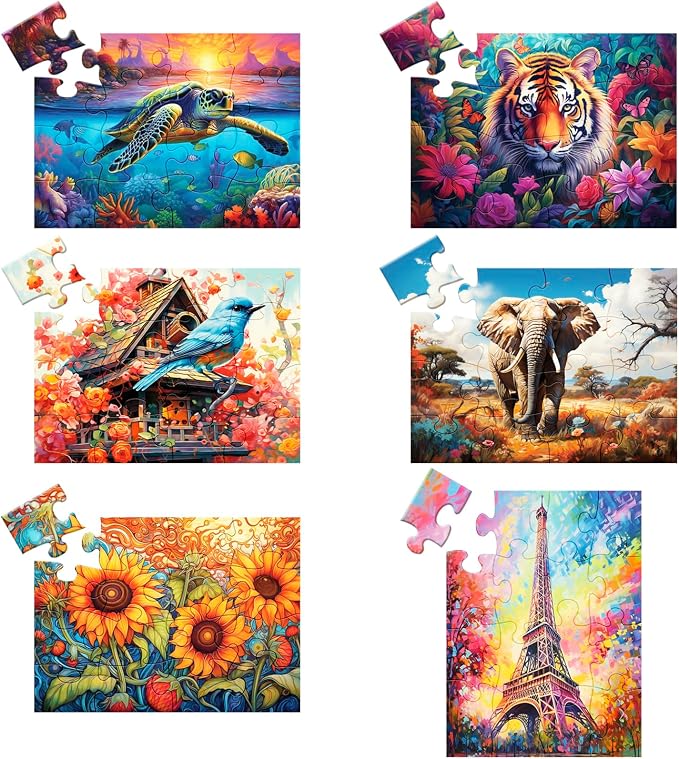 6 Pack 16 Large Piece Puzzles for Seniors Puzzles Dementia Alzheimer's Products by WSCXSC