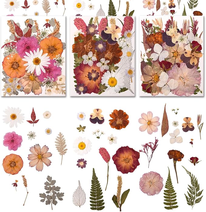 100 PCS Cream Color Pressed Dried Flowers & Leaves | Real Natural Dried Flowers by Cokosing