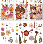 100 PCS Cream Color Pressed Dried Flowers & Leaves | Real Natural Dried Flowers by Cokosing