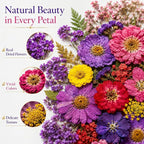 70 pcs Dried Flowers for Resin, Natural Flowers and Leaves Kit - Image 9
