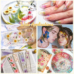 200 Pcs Dried Pressed Flowers for Crafts, 20 Sheets Real Dry Florals and Leaves - Image 6