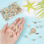 PH PandaHall Shell Pendants Spiral Seashells Craft Charms Cowrie Sea Shells - Image 6