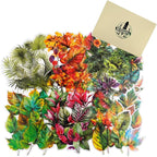 90PCS Leaf PET Stickers — Botanical Designs from Tropical Green to Autumn Maple by Unknown