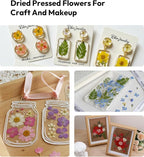 Dried Flowers, Resiners 100Pcs Pressed Flowers - Image 8