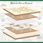 Aboofx Flower Press Kit, Craft Kits 11"x11" 10 Layers Wooden Flower Pressing Kit - Image 7