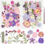 50Pcs Dried Pressed Flowers Resin Mould Real Pressed Flowers Natural Dry Leaves by Gvhntk