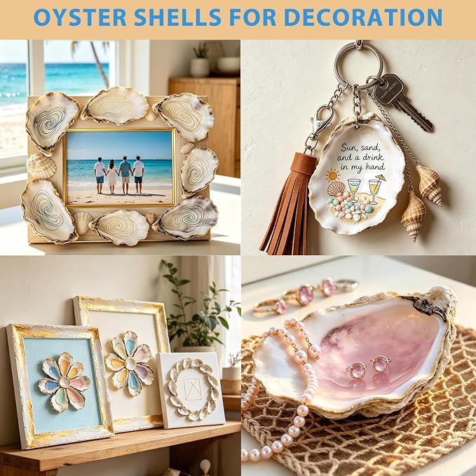 20Pcs 3-4 Inch Natural Oyster Shells - Image 6