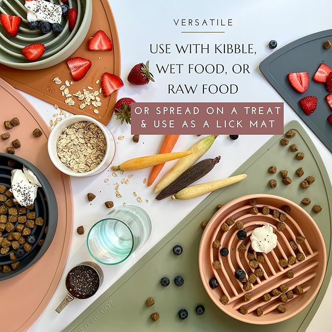Should We Go? Slow Feeder for Dogs & Cats, The Slowdown Bowl Silicone Slow Eating Mealtime Solution with Modern Lick Mat Design, Reduces Gulping, Fits 1 Cup, 6” Across x 1.25” Tall, Small-Spruce