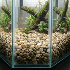 River Rocks Decorative Ornamental Vase Filler 0.5" - Image 4