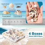 Seashells for Crafts Natural Mixed Seashells, 4 Pack Box, Small Shells for - Image 2