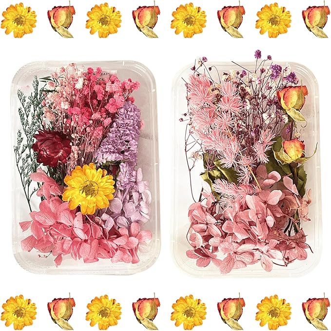 2PCS Dried Flowers Kit, Natural Dried Flowers Kit by Unknown