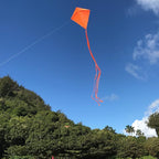 In The Breeze Solid Color Diamond Kite - Image 2