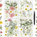 86Pcs Dried Flowers for Crafts, Real Pressed Flowers for Crafts Dried Pressed by HLCYGJIN