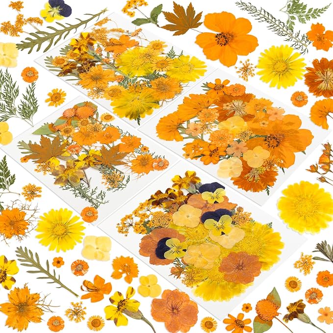 220 Pcs Dried Pressed Flowers for Resin Crafts, Real Natural Pressed Flowers by Unknown
