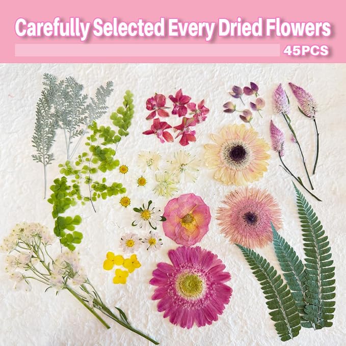 A4 Large Dried Pressed Flowers for Resin Real Dry Natural Flowers Leaves for - Image 3