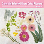 A4 Large Dried Pressed Flowers for Resin Real Dry Natural Flowers Leaves for - Image 3