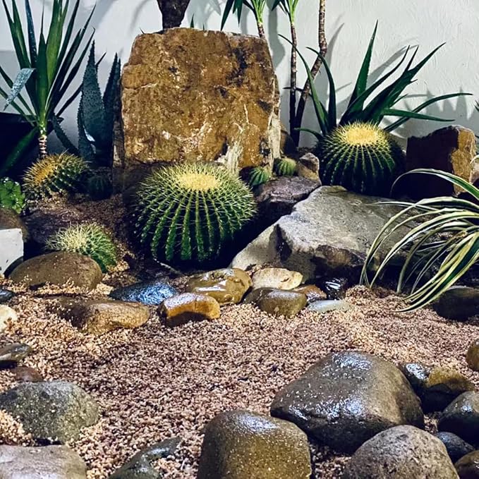 YISZM 5lbs Aquarium Gravel, 1/8" Natural River Rocks Succulent Cactus Pea Gravel - Image 7