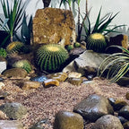 YISZM 5lbs Aquarium Gravel, 1/8" Natural River Rocks Succulent Cactus Pea Gravel - Image 7
