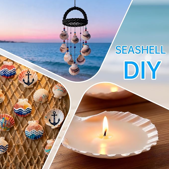 25PCS Large Scallop Shells for Crafts, Decorating, Ocean Themed Party Supplies - Image 5