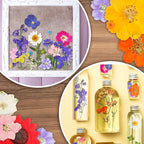 Nuanchu Pressed Flowers Bulk Dried Flower - Image 7