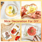 Orange Pressed Flowers, Authentic Natural Flowers, Resin Jewelry Craftsmanship - Image 7