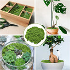 Fake Green Moss for Crafts 10.6 Oz Decorative Artificial Moss for Crafts - Image 2