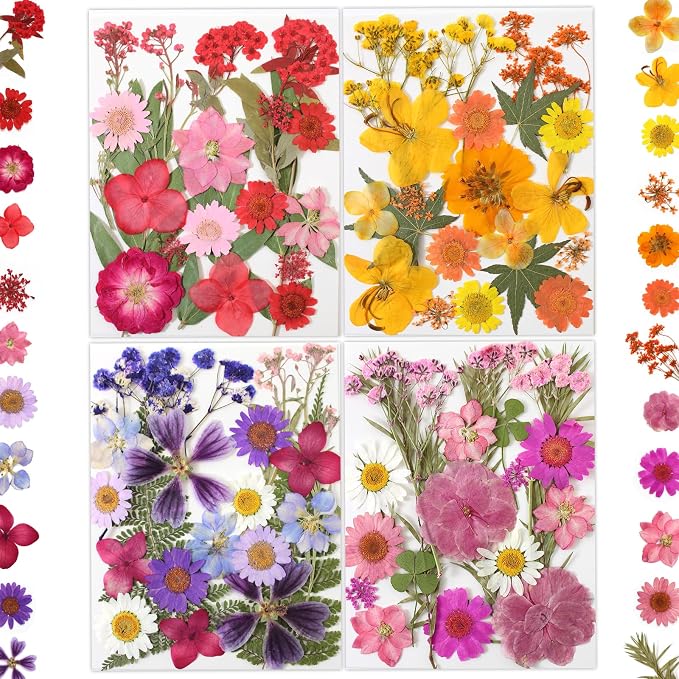 LUXEEASE 80P Yellow Red Pink Blue Dried Pressed Flowers | Fresh natural color by LUXEEASE