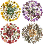 Yoksas Pressed Flower Wax Seal Stickers Set - Image 4