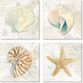Seashell Bathroom Decor Cream Color Seashell Starfish Canvas Wall Art Nautical by JAPOART