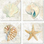 Seashell Bathroom Decor Cream Color Seashell Starfish Canvas Wall Art Nautical by JAPOART