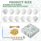 Gilprop 12 Pcs Large Scallop Shells - Image 2