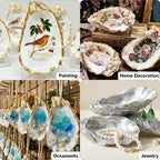 20PCS 5"-6" Extra Large Oyster Shells - Image 5