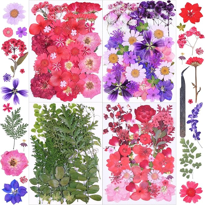 146Pcs Dried Pressed Flowers for Crafts, Xinxinran Dry Flowers Kit for Resin by Unknown