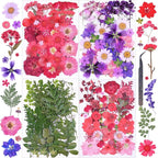 146Pcs Dried Pressed Flowers for Crafts, Xinxinran Dry Flowers Kit for Resin by Unknown