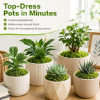 Fake Green Moss for Potted Plants - Image 2