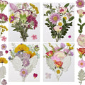 Dried Pressed Flowers Real Natural | Mixed Colors Flat Pressed Flowers by CONVELIFE
